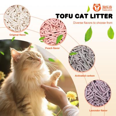 China Odorless Most Natural Cat Litter Durable Affordable Natural Kitten Litter for sale