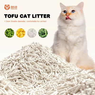 Cina ODM Tofu Cat Litter Near Me Customized Biodegradable Cat Litter Flushable in vendita