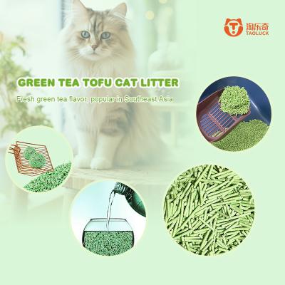 Cina Pianta verde Naturale Caccia da gatto spogliabile Amichevole Naturale Caccia da gatto controllo odore in vendita