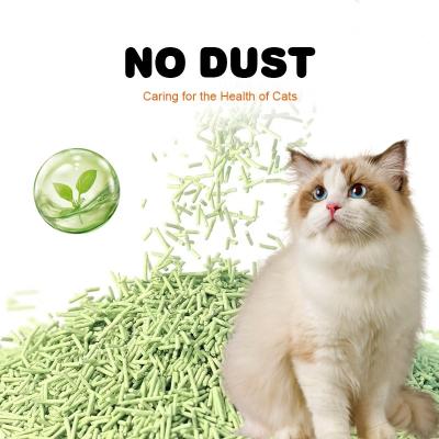 China Tofu Low Dust Clumping Cat Litter ODM 100 Percent Dust Free Cat Litter for sale