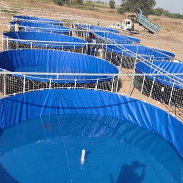 China Durable Blue Farm Aquaculture Pond 150gsm Waterproof Blue Ribbon Pe Tarpaulin for sale