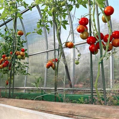 China Hightransmittance Tomato Greenhouse Equipment Agricultural Greenhouses Film for sale