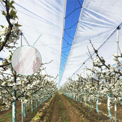 China Agricuture Protective Tent Agricultural Tunnel Agriculture Clear Plastic Film For Greenhouse Film for sale