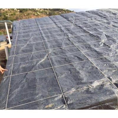 China Black And White SPE Farm Tent Grid B Tarpaulin Agricultural Anti UV Tarpaulin Tarpaulin for sale