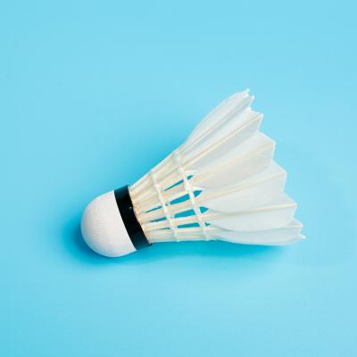 China TCX888 Good Quality Feather Shuttlecocks High Quality Badminton Training Shuttle For Training for sale