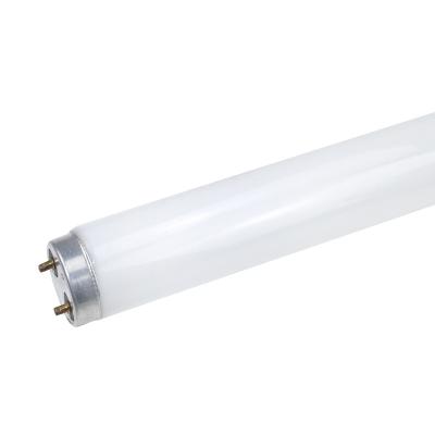 China Aviation T8 aviation light bulbs customized t8 fluorescent tube bunnings for sale