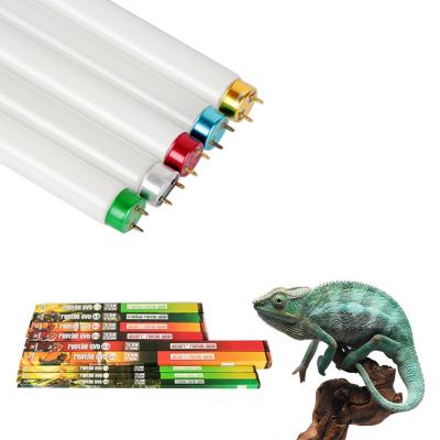 China Viable Straight Tube Fluorescent Lamp G5 315nm Wavelength UVB Replacement Reptile Lamp For Growth for sale