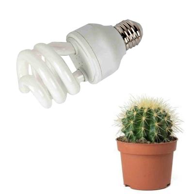 China Plant Growth Light E26/E27 Long Wavelength Fleshy UVB Lamp Energy Saving UV Light Tube For Cactus for sale