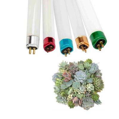 China OEM eco-friendly replacement T5 G5 T8 G13 straight tube uvb factory wholesale OEM grow light lamp for sale