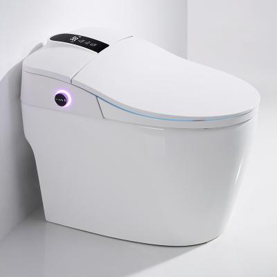 China Double-Stream 110V Electric Bathroom Watercloset Attach Smart Bidet Wc Automatic Toilet Toilet for sale