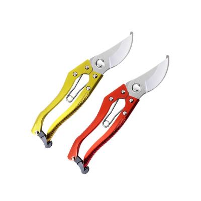 China Anti-Slip Handle Plant Garden Tools Shears Custom Fruit Tree Shears for sale