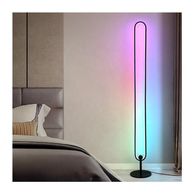 China Nordic Minimalist Corner Floor Lamp New Style Dimmable Ring Standing Floor Lamp Elliptical Remote Control for Living Room for sale