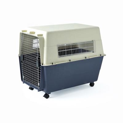 China Breathable Plastic Cage Box Portable Air Pet Carrier Dog Carrier Travel Crate Dog Kennel for sale