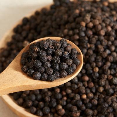 China Dried Whole Dried Black Peppercorn Vietnam Black Pepper Price for sale