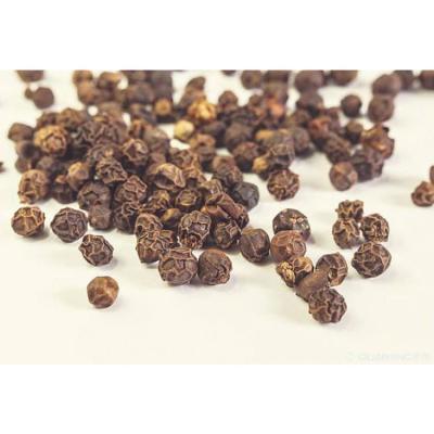 China Wholesale Organic Fresh Spice Dry Black Pepper Powder From China for sale