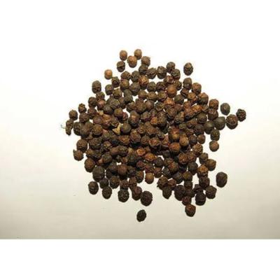 China Dry High Quality Organic Spices Sprinkles Chinese Origin Black Pepper for sale