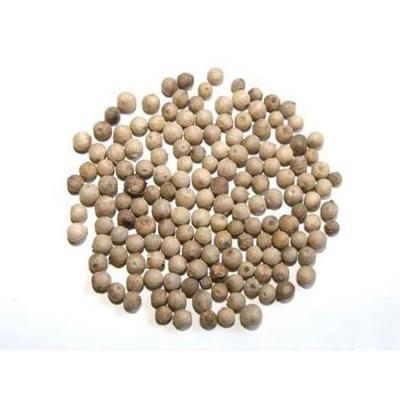 China China Factory Supply Fresh Pure Natural Corn Dry White Pepper for sale