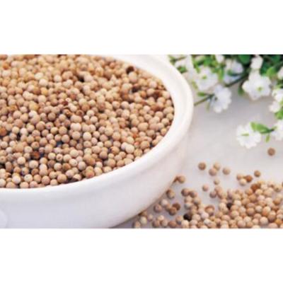 China Factory supply pure natural corn dry white pepper for global buyers for sale