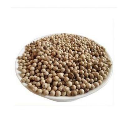 China High quality organic fresh corn dry white pepper for global buyers for sale