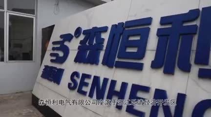 Verified China supplier - Senhengli Electric Co., Ltd.