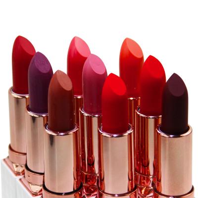 China Waterproof No Logo 9 Colors OEM Private Label Custom Waterproof Red Lipstick Square Tube Moisturize Lipstick Accept Dropshipping for sale