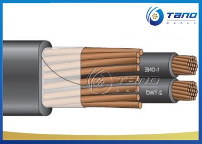 Chine 0.6/1 kilovolt de multiconducteur de câble isolé par XLPE avec le conducteur de cuivre pour la construction à vendre