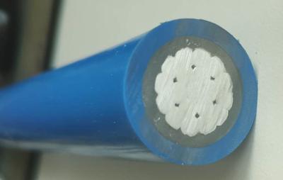 Chine Câbles unipolaires bleus de matériel d'isolation de la veste de PVC de cable électrique de la couleur BT XLPE à vendre