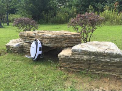 China Slimme Zelf In evenwicht brengend Één Wiel Elektrische Autoped unicycle met Opleidingswiel Te koop