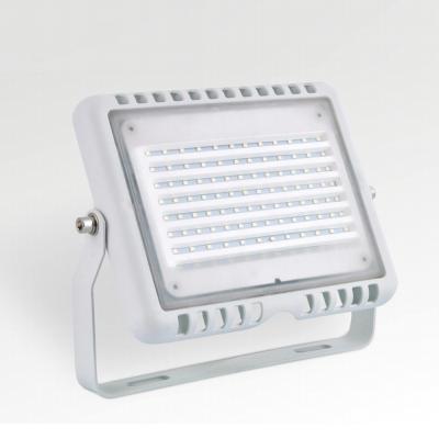 China 70w Parede montada luz de inundação LED exterior SMD5730 4KV Proteção contra sobretensões à venda