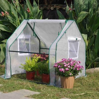 China Easily Assembled Foldable Transparent Garden Cover For Planting Mini Plant Tent Yard Greenhouse for sale