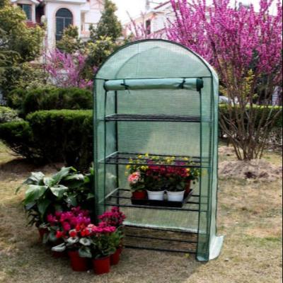 China Easily Assembled 4 Tier Skullcap Garden Greenhouse for sale