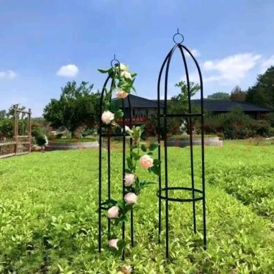 China New Easily Assembled Plant Support Frame Mounting DIY Flower Vine Pot Frame Garden Tool for sale