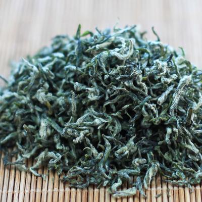 China A bud picked before Ching Ming Festival Niaowanggong Maojian Green Tea Small Leaf Chinese Supplier Wholesale Maojian Tea for sale