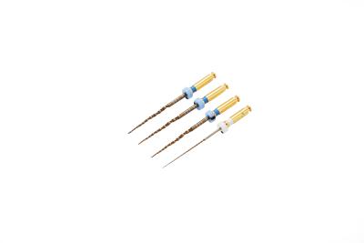 China Instrumentos clasificados ficheros rotatorios Endo flexibles X1 X2 X3 de la endodoncia del tamaño en venta