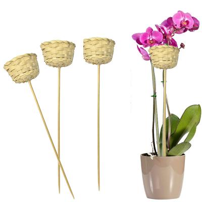 China Custom 33cm Sustainable Bamboo Stick Natural Bamboo Plant Sticks For Plants for sale