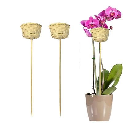 China Plant Sustainable Custom Handmade Decorative Bamboo Stick For Plant Climbing Support Sticks for sale