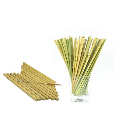 China Disposable Set of 16 Bamboo Straws with Cleaning Brush 20cm Custom Bamboo Straws for sale