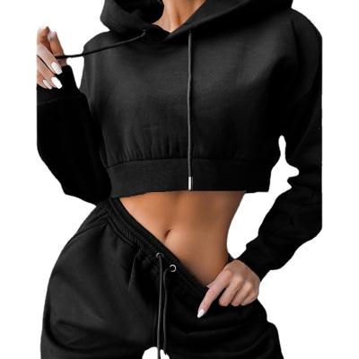 China Wholesale 100%Polyester Anti-Wrinkle Women Sports Hoodies Gym Fitness Sweatpants And Fashionable Hoodie Set for sale