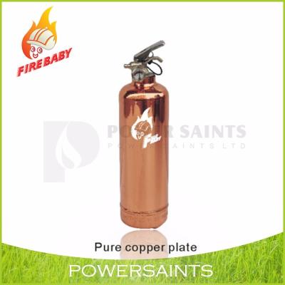 China Portable Type Dry Chemical Powder ABC Car Fire Extinguisher Mini 1Kg Power for sale