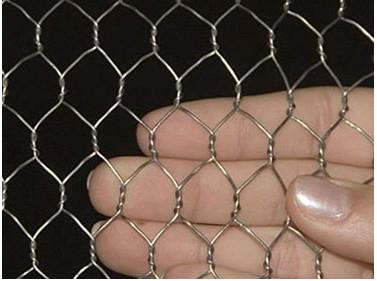 China Hot Dipped Galvanized Iron Hexagonal Chicken Wire Mesh PVC Coated for sale