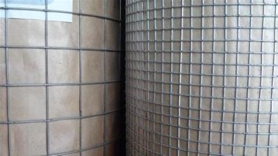 China Electro - Galvanized Welded Wire Mesh Boundary Wire Dog Fence 1