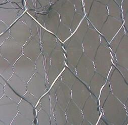 China Hot Dipped Galvanized PVC Coated Chain Link Fence wall Pasture Wire Mesh for sale