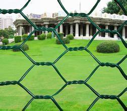 China Zinc - Plating / Galvanized Wire Fence Plastic Coated Chicken Wire Mesh for sale