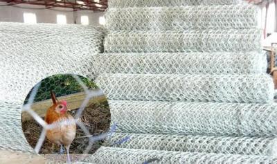 China Zinc Plated Hexagonal Wire Mesh Poultry Chicken / Rabbit Cage Wire Mesh for sale