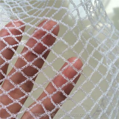 China Europe Durable Popular Useful Farm Anti-bird Net for sale