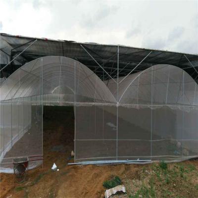 China New Agricultural Plant Protection 100% HDPE Aphid Resistant Insect Proof Net for sale