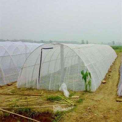 China Agricultural Plant Protection Factory Supply Mesh 40 HDPE Anti Insect Net for sale