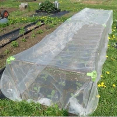 China Agricultural Plant Protection Anti Insect Net For Protect Plant for sale