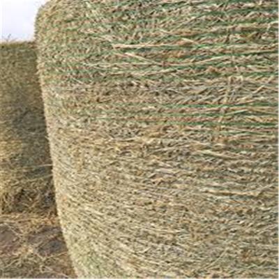 China Agriculture use mini roll baler hay net baler for sale china farm food dry grass big cow meadow bale wrap net for sale