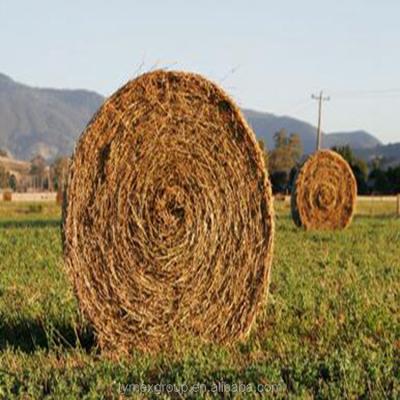 China Agriculture Use UV Protection Agriculture Stretch Round Wrap Hay Bale Wrap Net Bale Net for sale